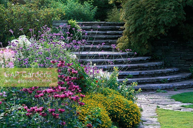 Étapes par parterre de fleurs colorées menant hors du jardin édouardien, Hestercombe Gardens dans le Somerset