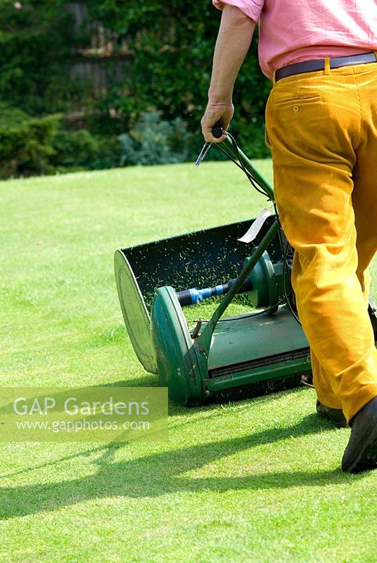 Homme tondre la pelouse avec une tondeuse à essence