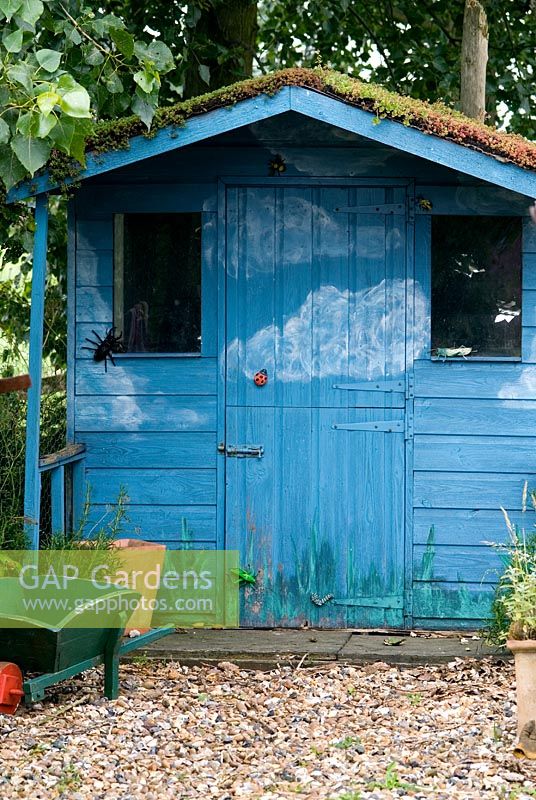Cabane pour enfants peinte en bleu avec coccinelle, abeilles et scarabée comme décoration. Toit vivant avec sedums. Brouette d'enfant. 27 juin. École de conception de jardins de Lucy Redman, Rushbrook, Nr. Bury St. Edmunds, Suffolk.