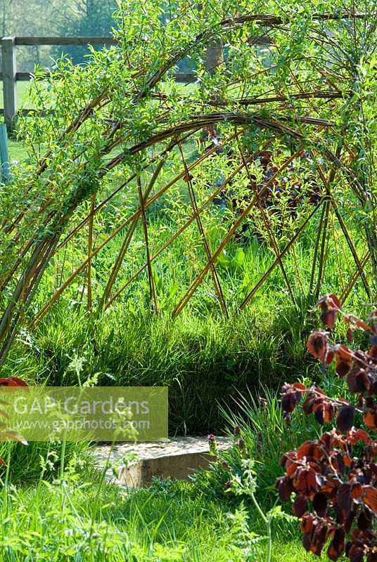 Igloo fabriqué à partir de Salix - Willow in the meadow avec Purple Hazel - Lucy Redman's School of Garden Design, Nr. Bury St. Edmunds, Suffolk