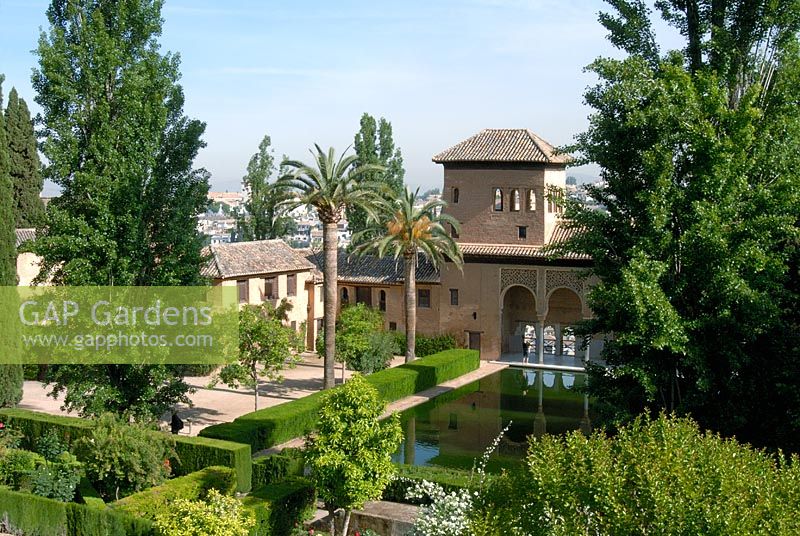 Les jardins partiels avec piscine rectangulaire, myrte topiaire basse et haies de buis - Jardins de l'Alhambra, Grenade, Espagne