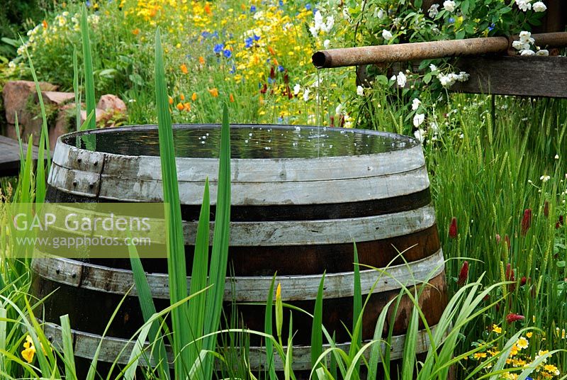Tonneau d'eau de pluie et fleurs sauvages - The Fetzer Sustainable Winery Garden, Chelsea 2007