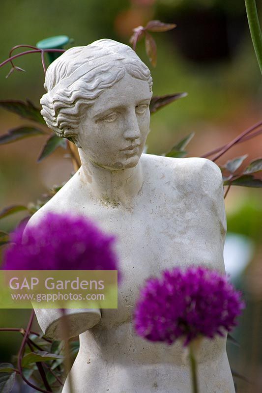 Statue avec Allium - Jardins Waterperry