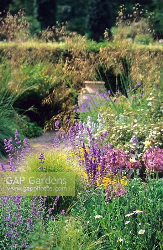 Jardin sec avec Nepeta, Stipa gigantea, Allium, Potentilla et stachys - Cambridge University Botanic Gardens