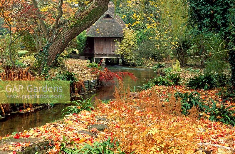 Maison de thé japonaise à cheval sur la rivière Avon avec un tapis de feuilles tombées de Liquidamber styraciflua