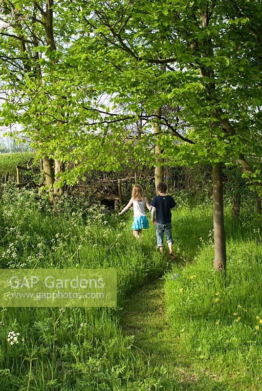 Les enfants qui courent le long du chemin tondu à travers les hautes herbes avec Anthriscus sylvestris et Primula veris menant à de petits bois avec Carpinus betulus au début de mai