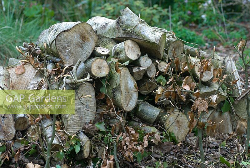 Pile de bois de l'habitat