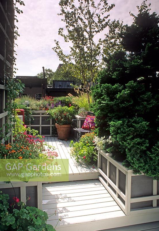 Petit jardin sur le toit urbain avec une terrasse en bois et des parterres de fleurs et des pots de chrysanthème, de sauge, d'herbe, de sedum et de bétula. Banc en bois avec coussin - New York USA