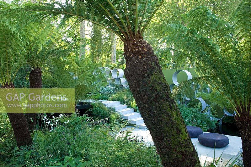 Plantation tropicale aux caractéristiques modernes conçue par Andy Sturgeon pour la recherche sur le cancer - RHS Chelsea Flower Show 2008