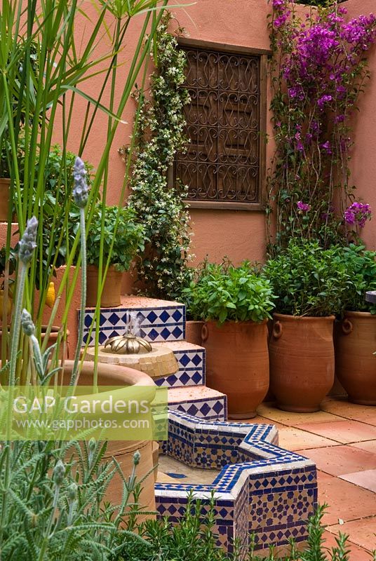 Mentha en pots en terre cuite dans une cour de style marocain et fontaine carrelée dans le jardin SPANA Courtyard Refuge - RHS Chelsea Flower Show 2008