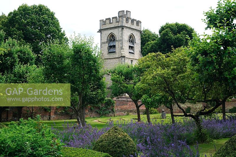 Vue sur le verger dans le potager avec l'église St Michaels en arrière-plan - Chenies Manor Gardens