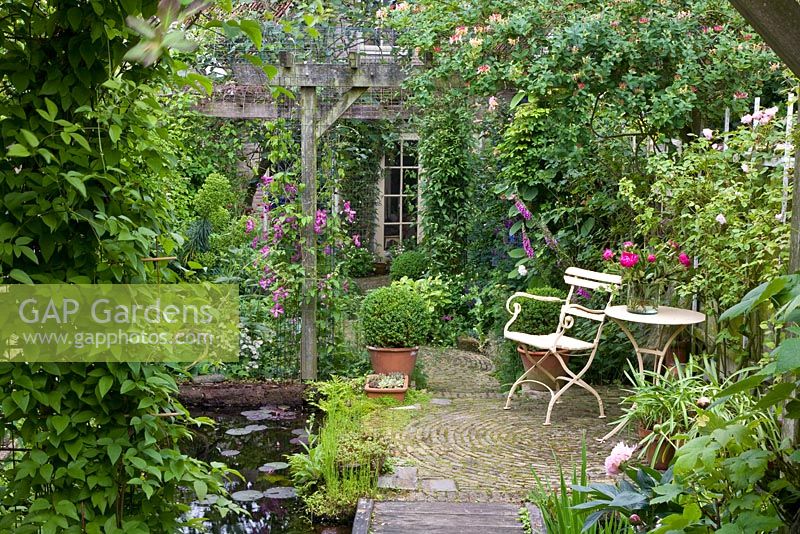 Espace détente dans le jardin de la cour avec pergola en bois et standards Buxus coupés dans des pots en terre cuite