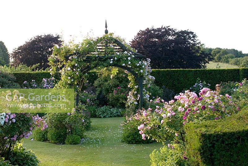 Une roseraie et une tonnelle avec escalade de Rosa 'New Dawn' et Rosa 'Bonica' de chaque côté de l'entrée du jardin à la lumière du soir - Ousden House