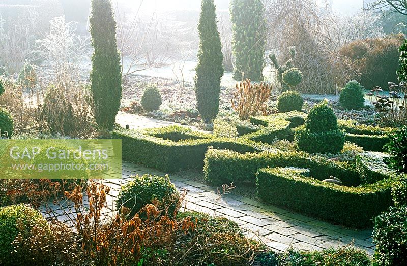 Jardin de noeud givré avec topiaire - pics, Warwickshire NGS