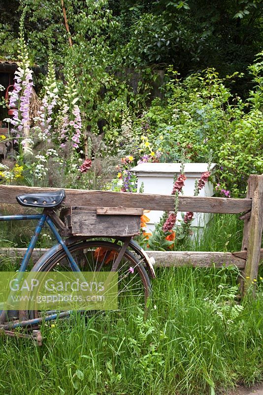 Vieux vélo par une clôture avec des ruches et des fleurs de jardin - Le Fenland Alchemist Garden, parrainé par Giles Landscapes - Médaillé d'or pour le meilleur jardin de la cour au RHS Chelsea Flower Show 2009