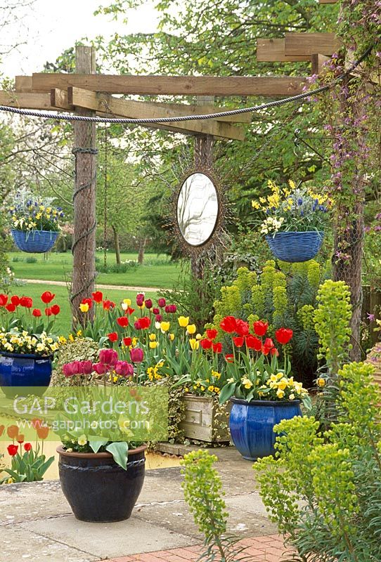 Pergola sur terrasse. Pots de printemps avec des tulipes. Paniers suspendus avec Narcisse 'Havera '. Euphorbias. Sculpture solaire