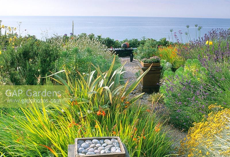 Jardin en bord de mer avec parterre de plantation tolérante à la sécheresse de Crocosmia, Euphorbia, Helichrysum, Verbena, Lavandula et Oenothera - Dawlish