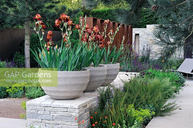 Iris 'Action Front' dans des bacs en pierre placés sur un mur en pierre sèche - The Daily Telegraph Garden, Best in Show, médaillé d'or, Chelsea Flower Show 2010