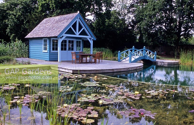 Piscine naturelle et parterres de filtres à roseaux dans le grand jardin de Londres avec pavillon d'été et pont