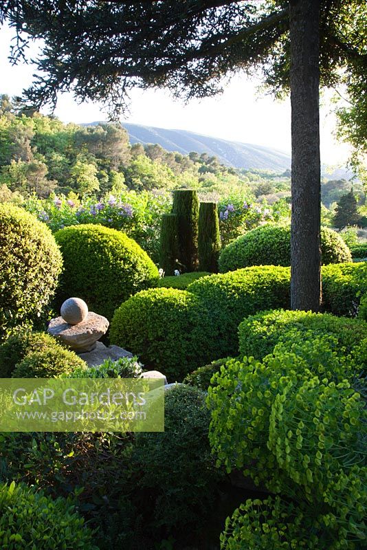 Topiaire dans le jardin de La Louve, Provence, France