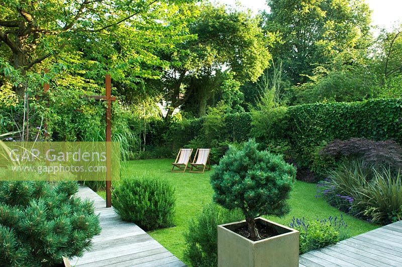 Petit jardin urbain avec chemin en bois, pot avec Pinus et arc métallique avec Passiflora - Highgate, Londres