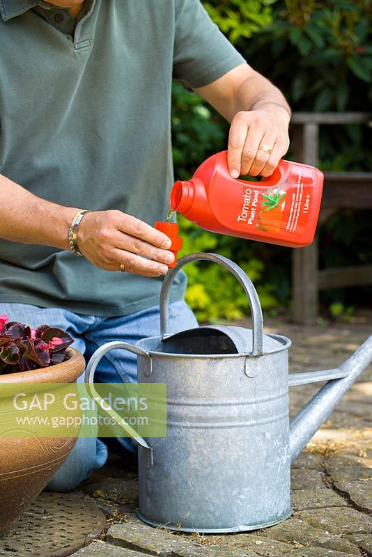 Ajouter des tomates liquides dans un arrosoir pour nourrir les plantes en pots ou en sacs de culture