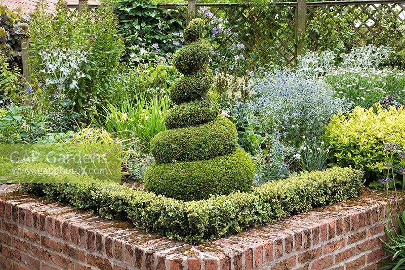 Parterre de fleurs surélevé dans un jardin en contrebas avec spirale Buxus et haie basse Buxus, Eryngiums, Spirea 'Goldflame' - Le Manoir