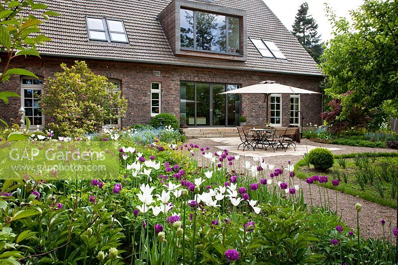 Terrasse avec salon de jardin et parasol. La plantation comprend - Brunnera, Buxus, Magnolia, Tulipa 'Negrita' et Tulipa 'White Triumphator' - Jens Tippel
