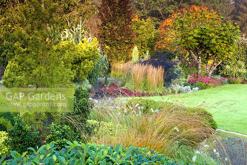 Le jardin de feuillage et le jardin Plantsmans à RHS Garden Rosemoor, Great Torrington, Devon, septembre