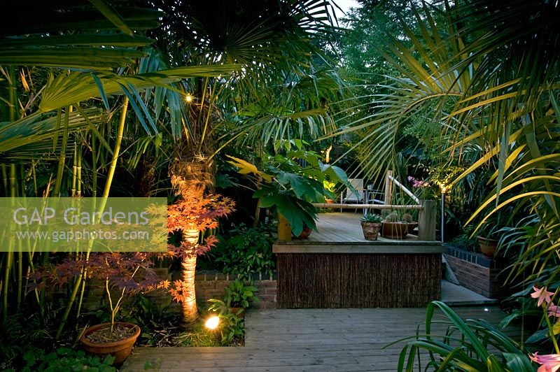 Terrasse en bois avec plantation exotique