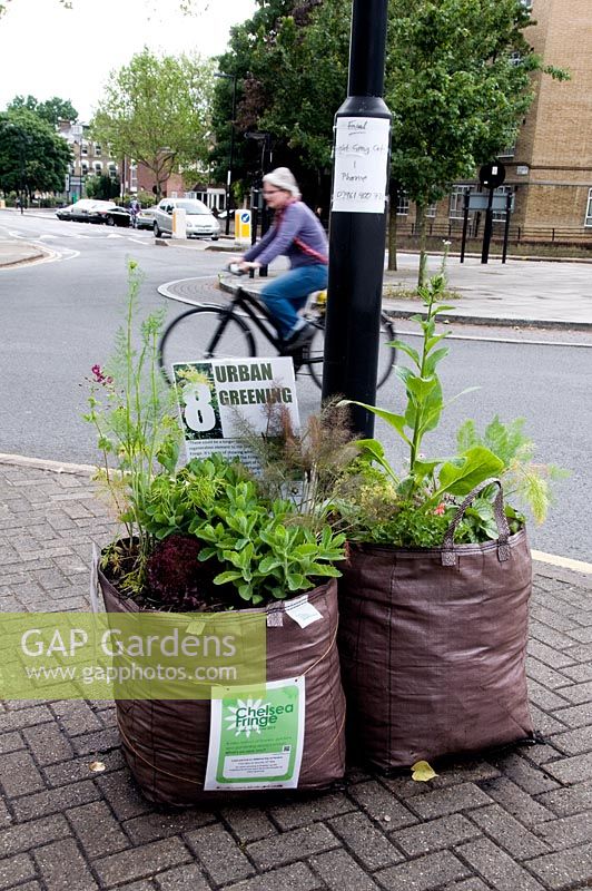 Jardin Pop-up Mildmay, deux sacs de constructeurs pleins de plantes avec panneau de verdissement urbain et bus qui passe, Islington - Chelsea Fringe Festival, Londres 2012