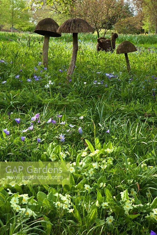 Sculpture de crapaud en bois et fleurs de printemps dans le Stumpery, avril 2010.