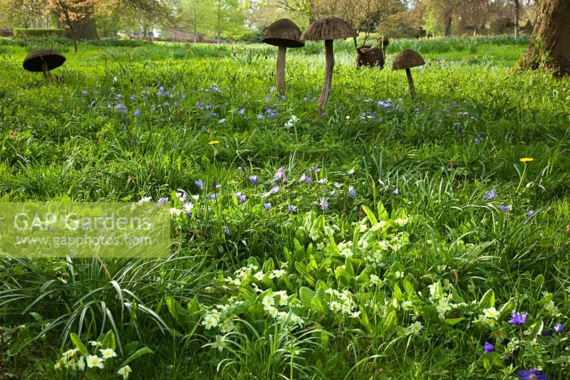 Sculpture de crapaud en bois et fleurs de printemps dans le Stumpery, Highgrove Garden, avril 2011