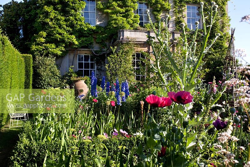 The Sundial Garden and Highgrove House with Papaver somniferum - Poppies, juin 2011.