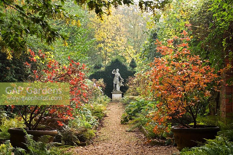 La promenade des azalées aux couleurs de l'automne et avec la statue de Diane, la déesse de la chasse. Highgrove octobre 2007.