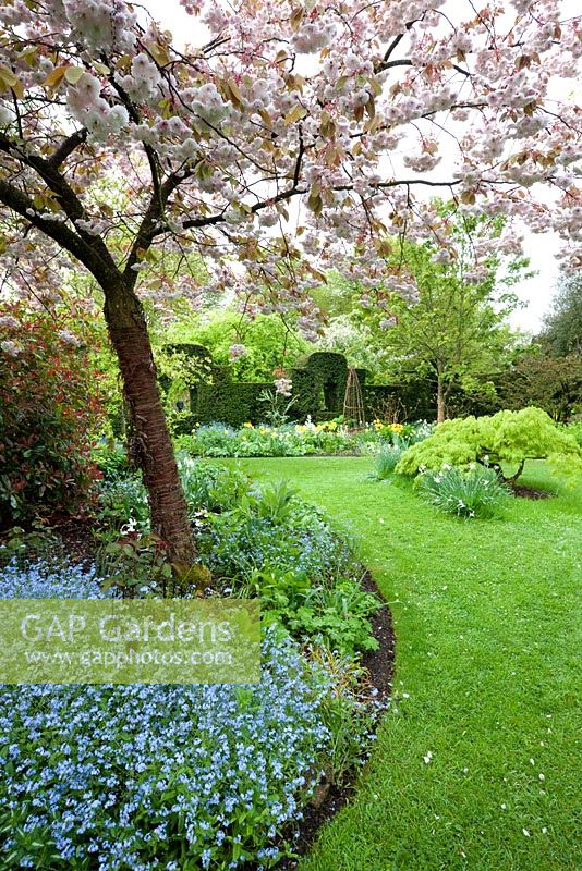 Le Cottage Garden avec fleur de printemps et fleurs. Jardin Highgrove, mai 2009.