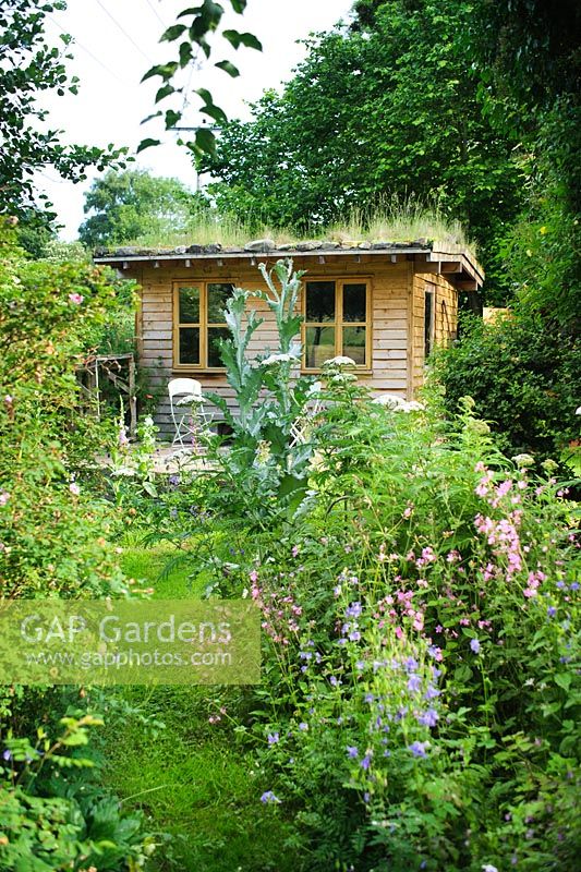 Chemin d'herbe à travers un jardin sauvage menant à un studio de jardin en bois avec toit en herbe