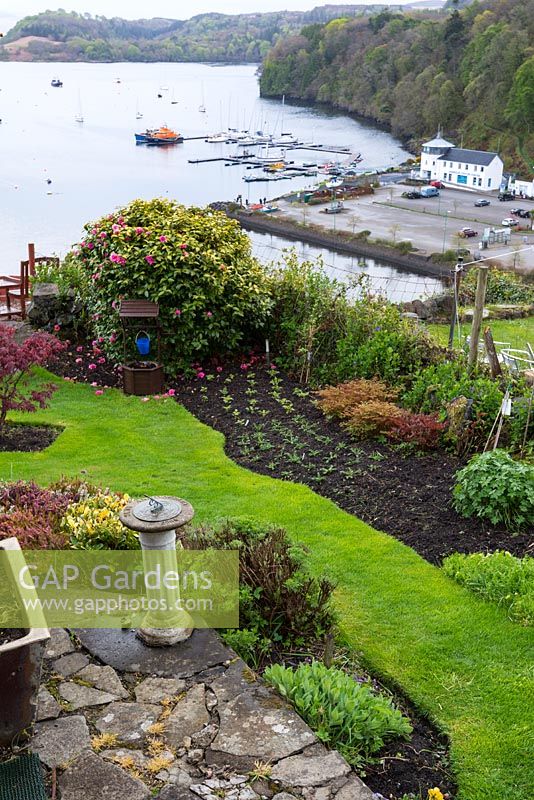 Jardin côtier avec vue panoramique sur la baie de Tobermory, île de Mull,
