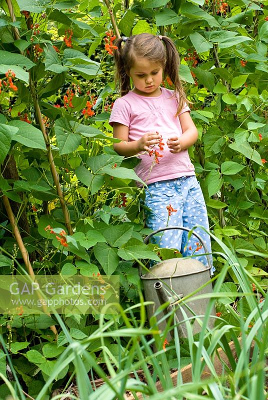 Jeune fille de cinq ans avec un arrosoir dans le jardin potager.
