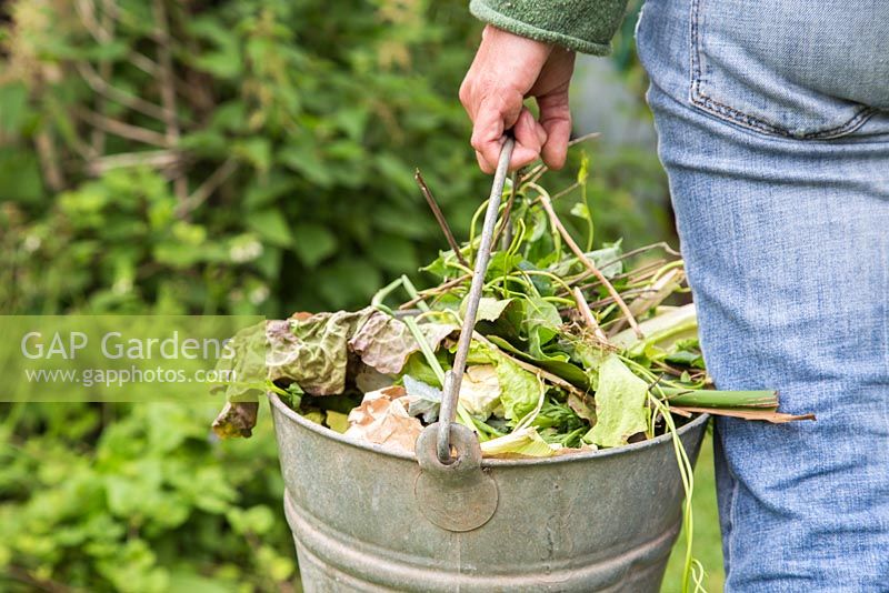 Emporter des boutures et des déchets alimentaires dans le tas de compost