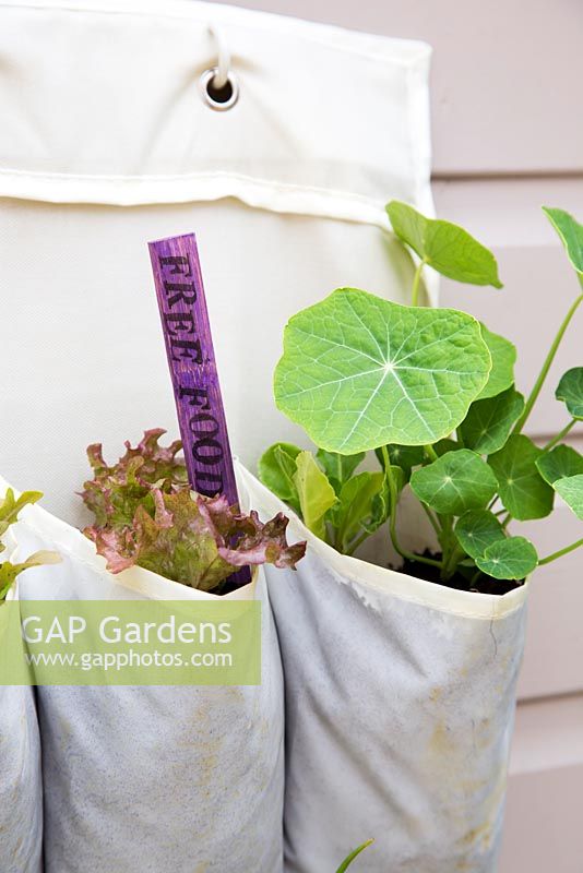 Étape par étape pour planter un porte-chaussures vertical avec des fruits et légumes - étiquetage coloré