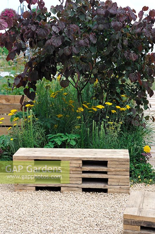 Banc de jardin en planches recyclées. Cercis canadensis 'Forest Pansy '. The Bees Garden. RHS tatton Park Flower Show 2013