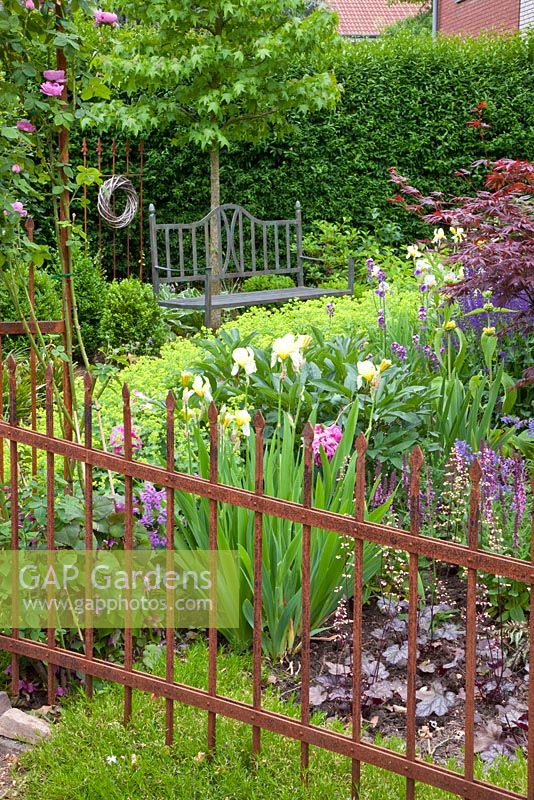 Jardin avant avec banc et plantation d'Alchemilla mollis, Iris barbata, Liquidambar styraciflua et Heuchera