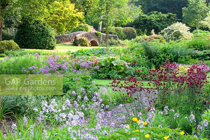 Le jardin Dell, les jardins de Bressingham. juin