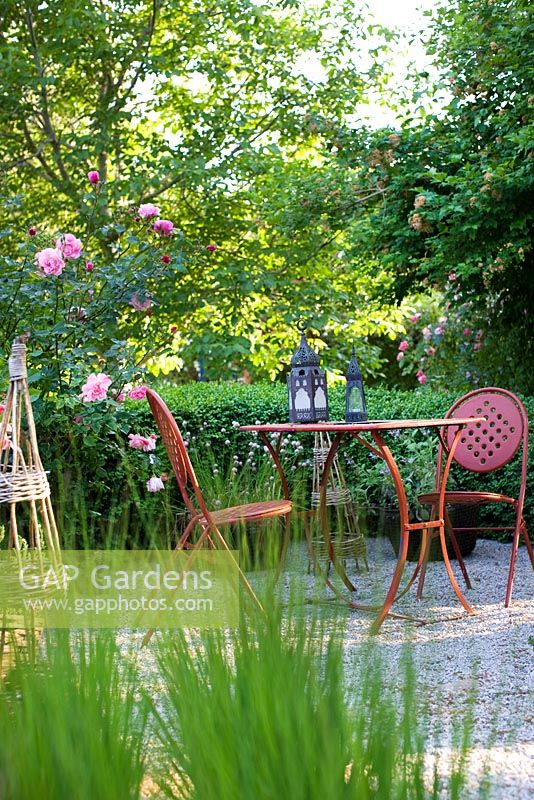Rosa Marchenland, boîte de haie, chaises et table avec lanternes marocaines et herbe japonaise en premier plan