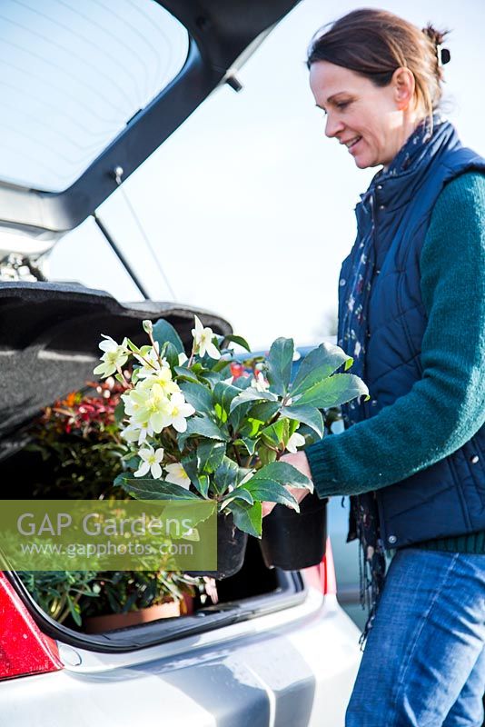 Femme plaçant des plantes achetées dans une jardinerie dans le coffre de sa voiture