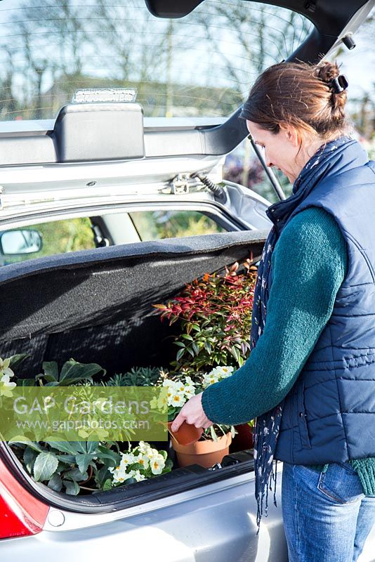 Femme plaçant des plantes achetées dans une jardinerie dans le coffre de sa voiture