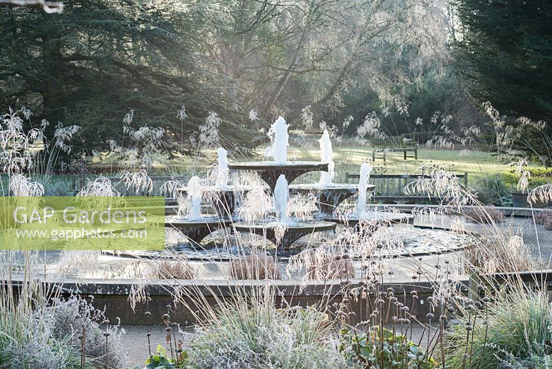 Étang circulaire et fontaines dans les jardins botaniques de Cambridge le matin glacial. Fontaines en bronze conçues par David Mellor. Têtes de graines de Stipa gigantea et Phlomis russeliana.