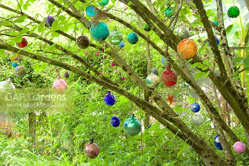 Jardin d'été avec Hamamelis mollis - Hamamélis et installation artistique de boules de verre.