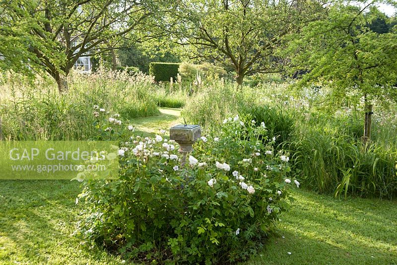 Le cadran solaire au milieu du petit verger est entouré de doubles roses blanches. Forest Lodge, Pen Selwood, Somerset, Royaume-Uni